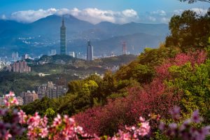Cherry blossom with Taipei cityscape in spring, Taiwan, where watermakers are used.